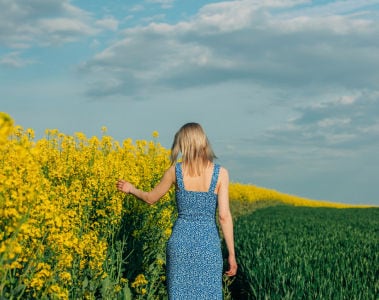 dsm-firmenich announces launch of Vertis™ CanolaPRO®