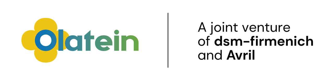  Olatein logo